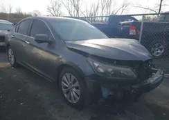 1HGCR2F71DA167083: 43975563