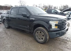 1FTEW1EP5GFC84989: 43976852