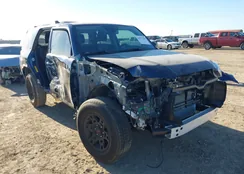 JTEEU5JR2R5312840: 43977849