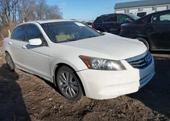 1HGCP2F8XCA031001: 43981013