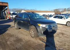 2FMDK3JC4DBC05228: 43982049