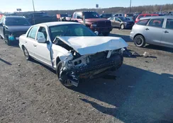 2MEBM7FV7AX622976: 43982352