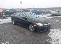 2HGFC2F58HH516146: 43983899