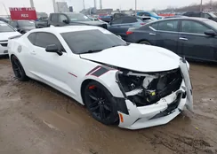 1G1FB1RS9J0151749: 43984742