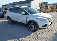 1FMCU0GD0JUD42290: 43984852