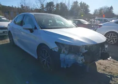 4T1F11BK6PU087834: 43986066