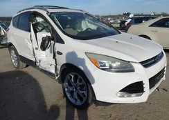 1FMCU0J94GUB11115: 43986214