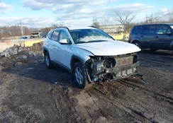 5NMJBCDE9RH303927: 43985358