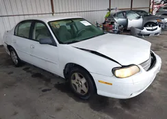 1G1ND52FX4M709292: 43986296