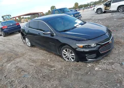 1G1ZD5ST1JF170813: 43986338