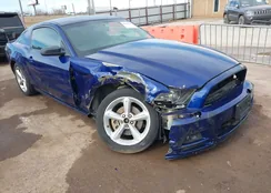 1ZVBP8AM3E5210099: 43988219