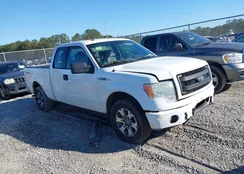 1FTFX1CF6DFA86932: 43987685