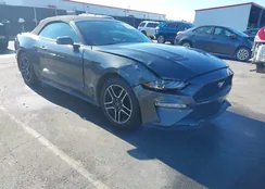 1FATP8UH8L5137840: 43989269