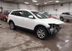 JM3TB3CV4E0444304: 43989721