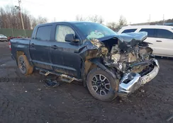 5TFDY5F17MX045831: 43989800