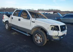 1FTPW14534KC46818: 43989857