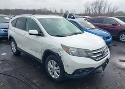 5J6RM4H75DL012602: 43989320