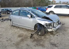 19XFA1F31BE022646: 43989574