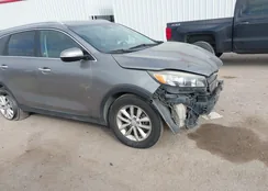 5XYPG4A34GG153365: 43989691