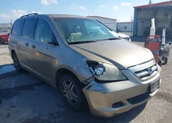 5FNRL38646B438586: 43990707