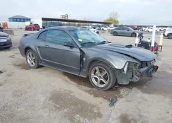 1FAFP40694F222854: 43991005