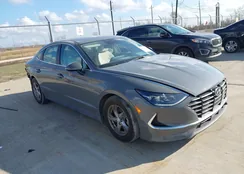 KMHL24JA5PA314930: 43991262