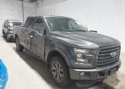 1FTFW1EF1GFC39236: 43990436