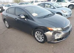 19XFB2F84CE091301: 43991749