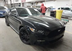 1FA6P8TH2G5268864: 43991922