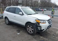 5NMSH13E99H307517: 43992291