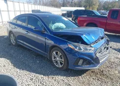 5NPE34AF4KH813807: 43991353