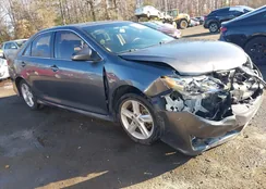 2T1BURHE8FC430570: 43991553