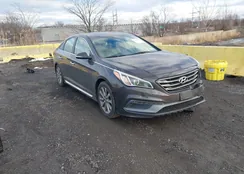 5NPE34AF1HH543623: 43992891