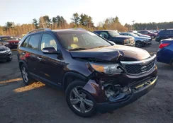 5XYKUDA24DG393098: 43992902