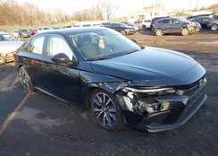 2HGFE1F71NH319823: 43993766