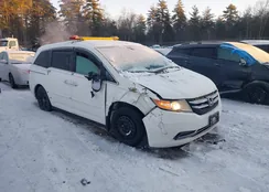 5FNRL5H63EB069195: 43993898