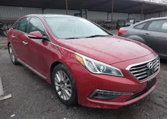 5NPE34AF5FH029819: 43994167