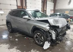 5NMJCCDE3SH451784: 43993272