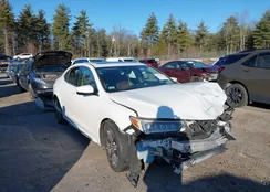 19UUB3F59JA005453: 43993302