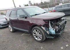 1FM5K8D86JGC50801: 43993440