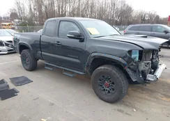 3TYSZ5AN8NT098533: 43993588