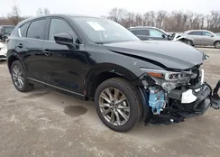 JM3KFBEM7S0709548: 43994896