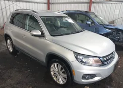 WVGAV3AX6EW547213: 43994927