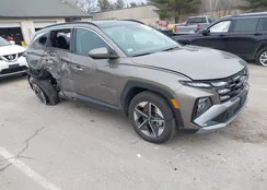 KM8JCDD1XSU300657: 43995069