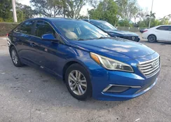 5NPE24AF8HH486100: 43994282