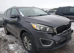 5XYPG4A39GG026515: 43994329