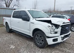 1FTEW1EP7GFB69312: 43994399