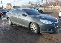 1G11F5SL2FF161780: 43994504