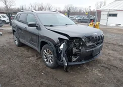 1C4PJMLX0KD289663: 43994562