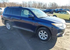 5TDBK3EH6CS115240: 43995813